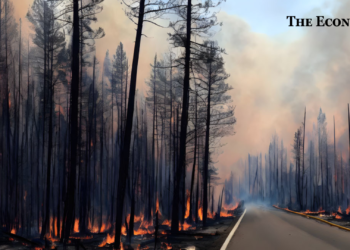 Wildfires, Climate Change, Canada, Extreme Weather Events, Climate Crisis, Fire Weather Index, Eastern Canada, Global Warming, Environmental Impact, Fossil Fuel Emissions, The Economy